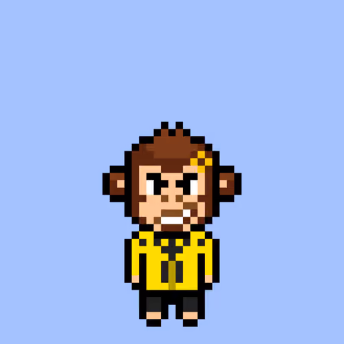 Cool Monkes Trainer #3266