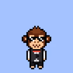 Cool Monkes Trainer #3776