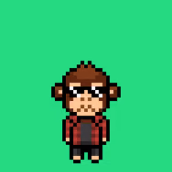 Cool Monkes Trainer #5750