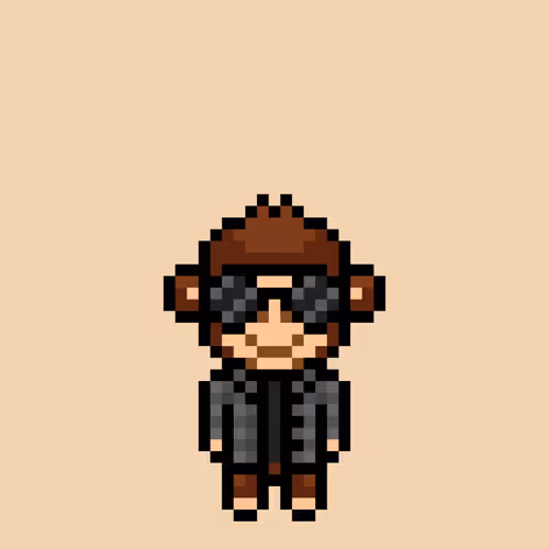Cool Monkes Trainer #0