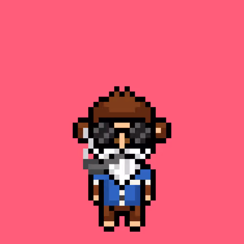 Cool Monkes Trainer #8841