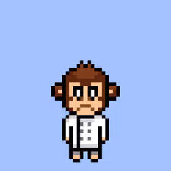 Cool Monkes Trainer #4255