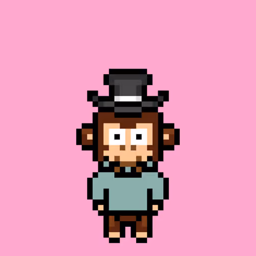 Cool Monkes Trainer #8194
