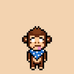Cool Monkes Trainer #3048