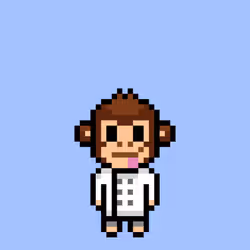 Cool Monkes Trainer #3364