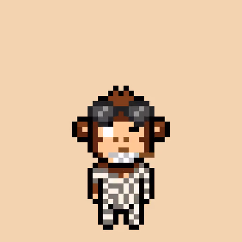 Cool Monkes Trainer #1047