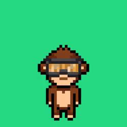 Cool Monkes Trainer #5733