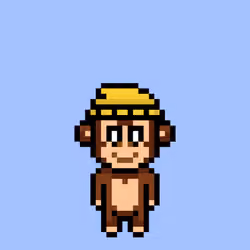 Cool Monkes Trainer #3363