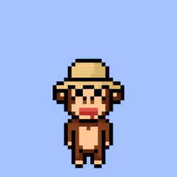 Cool Monkes Trainer #3762