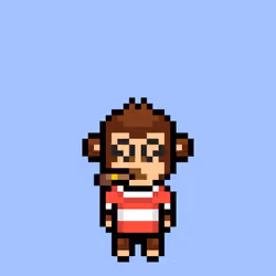 Cool Monkes Trainer #4607