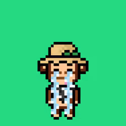 Cool Monkes Trainer #6262