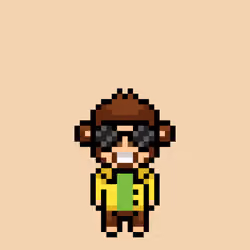 Cool Monkes Trainer #1265