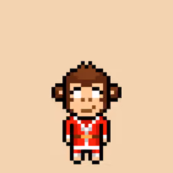 Cool Monkes Trainer #3008