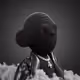 1969