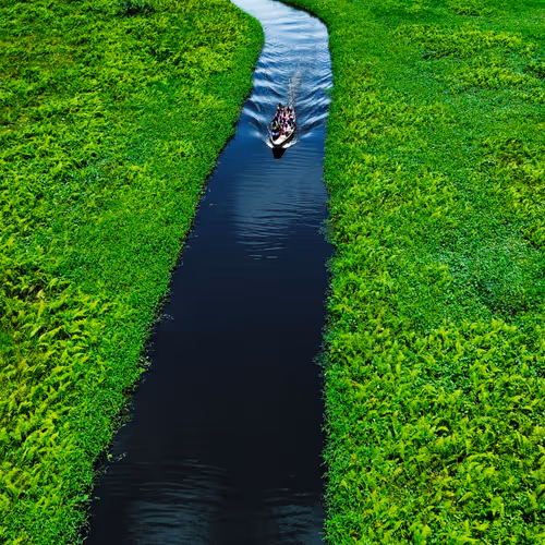 THE BEAUTY OF NATURE