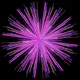 Kaleido #215