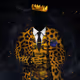 8097