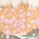 0xad09deea500311b3df43c101cdfd2e93a6d61066