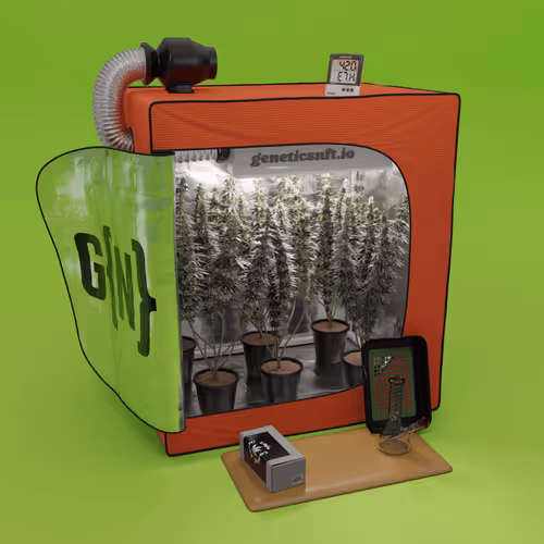 Geneticsnft Grow Op Drop