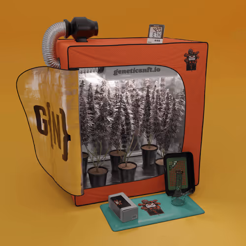 Geneticsnft Grow Op Drop