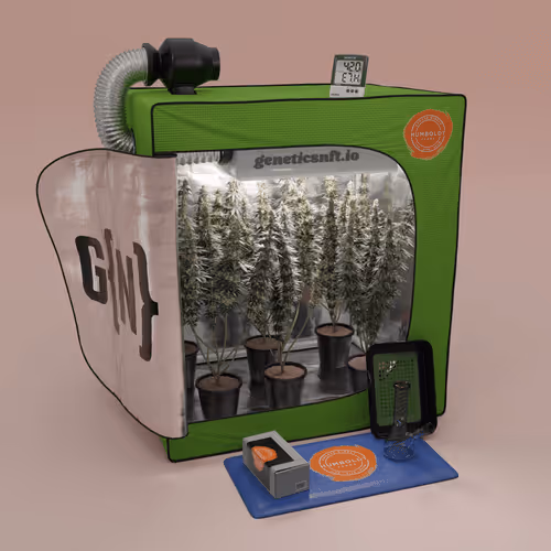Geneticsnft Grow Op Drop