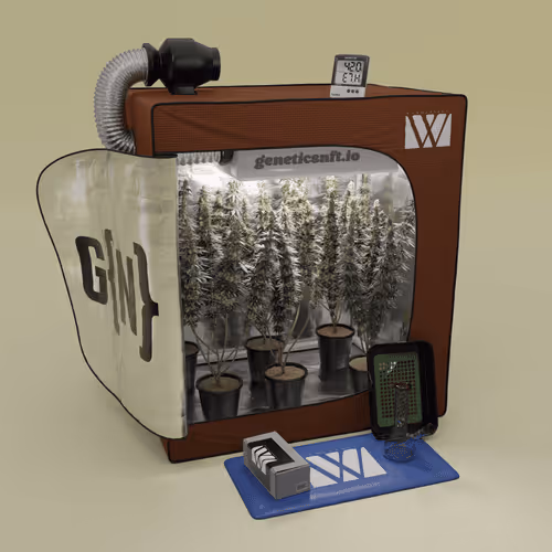 Geneticsnft Grow Op Drop
