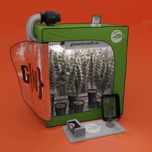Geneticsnft Grow Op Drop