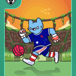 Cool Cats Football Club #2515