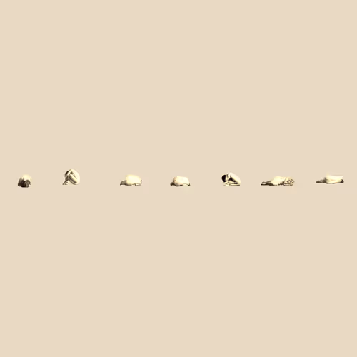 Body Landscapes 1