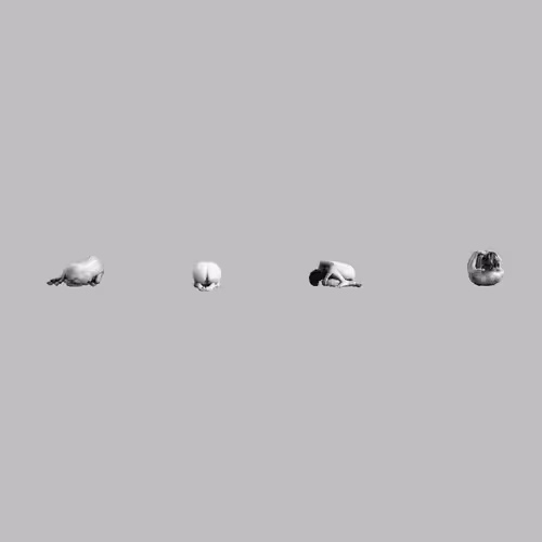 Body Landscapes 1