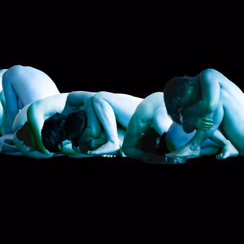 Body Landscapes 1