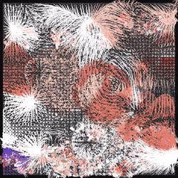 955