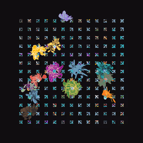 Bloomixel