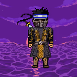 Ninja#45