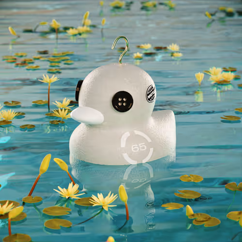 Dissrup Hook A Duck