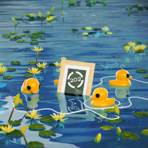 Dissrup Hook A Duck