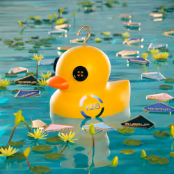 Hook a duck #128