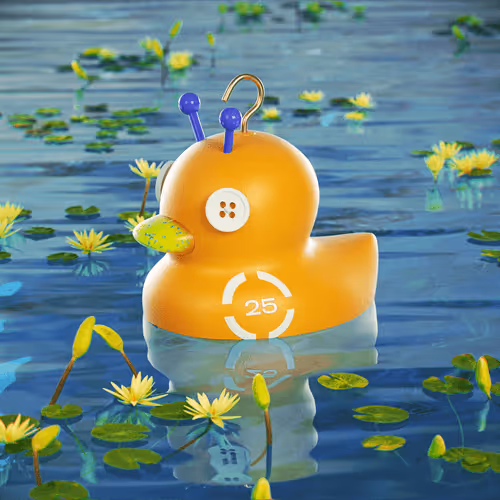 Dissrup Hook A Duck