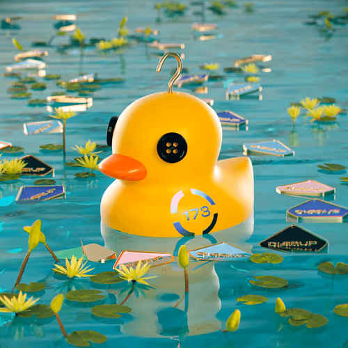 Dissrup Hook A Duck