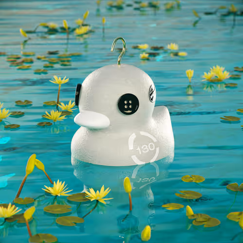 Dissrup Hook A Duck