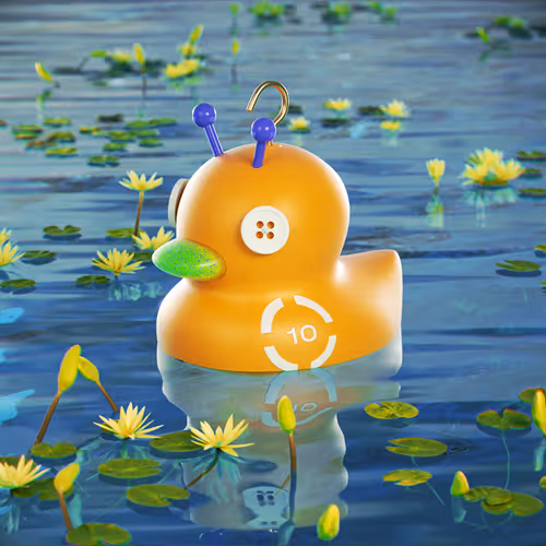 Dissrup Hook A Duck