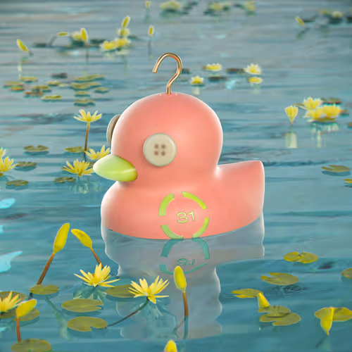 Dissrup Hook A Duck