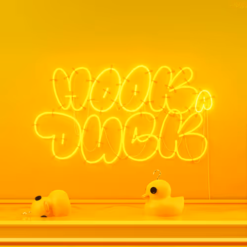 Dissrup Hook A Duck
