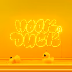Hook a duck #150
