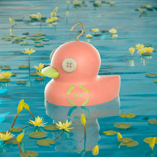 Dissrup Hook A Duck