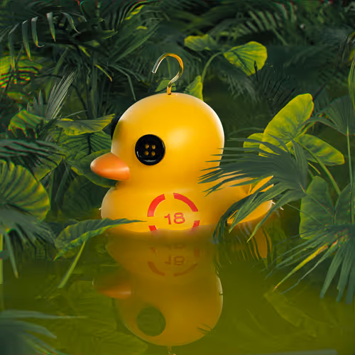 Dissrup Hook A Duck