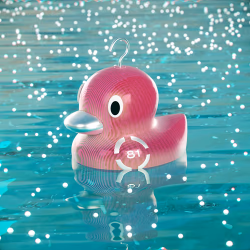 Dissrup Hook A Duck