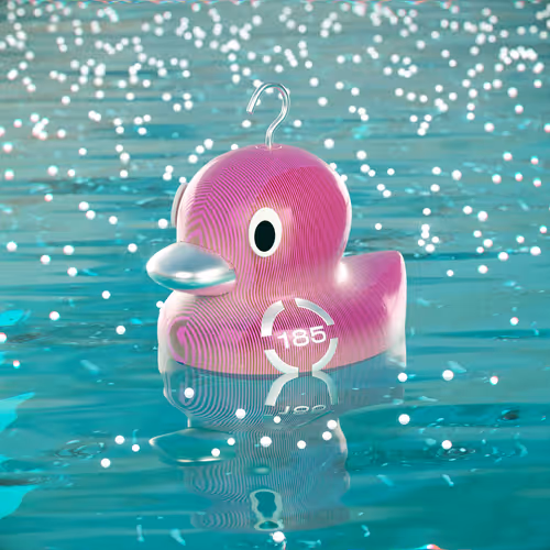 Dissrup Hook A Duck