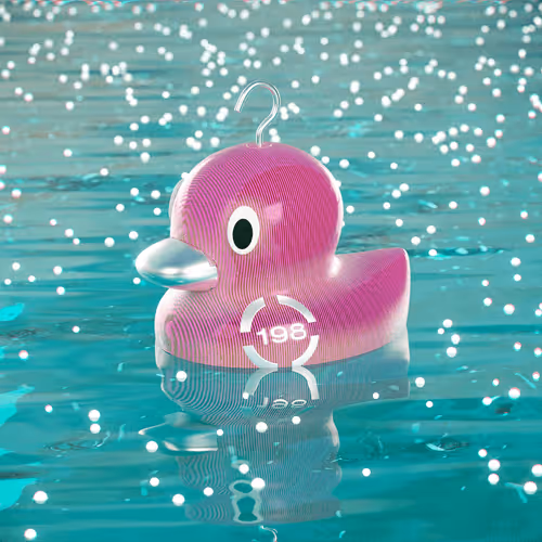 Dissrup Hook A Duck