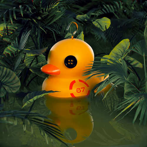 Dissrup Hook A Duck
